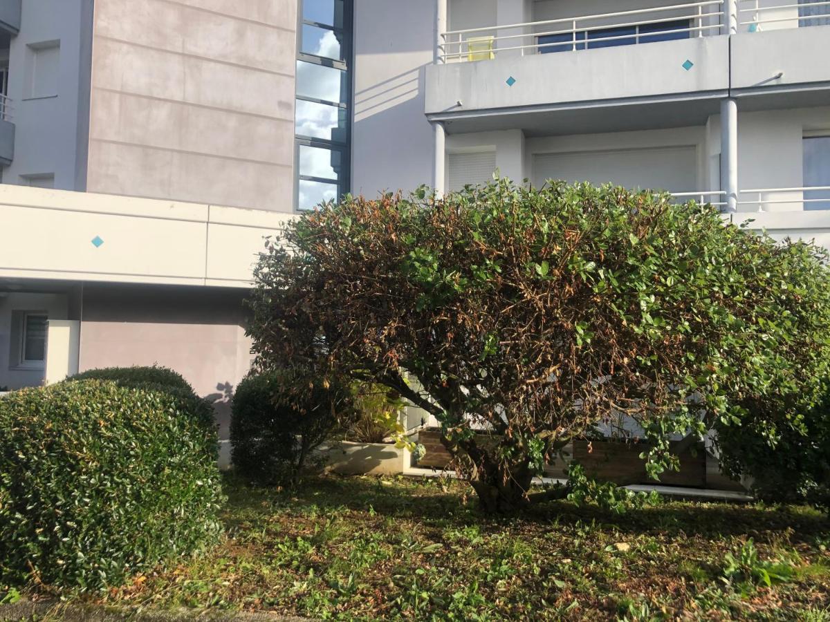 Le Carre Des Vosges Vannes Centre Avec Terrasse, Parking Privatif, Wifi Exterior photo